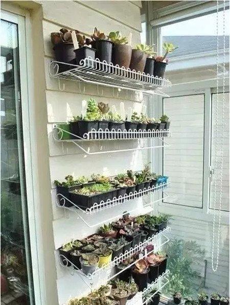 花架 花架