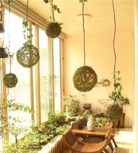 小花坛 小花坛