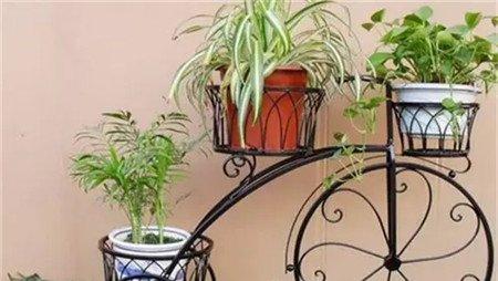 小花车大 小花车大