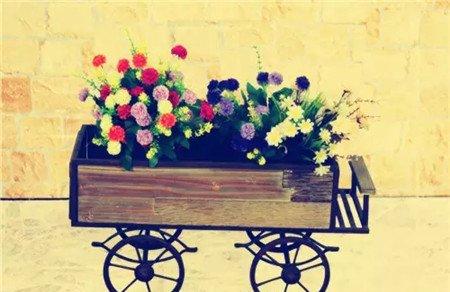 小花车 小花车