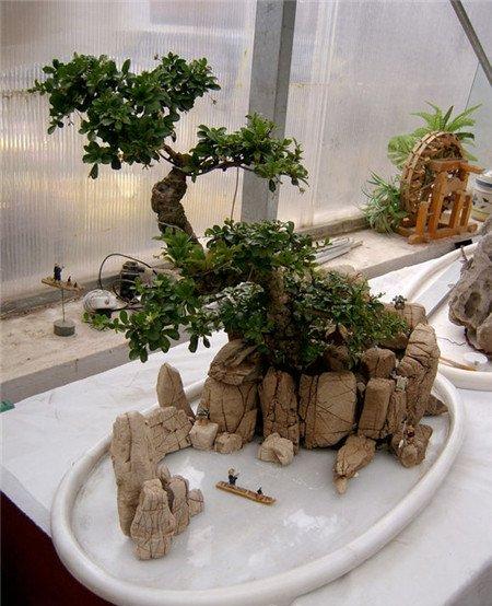 水旱盆景制作：布景