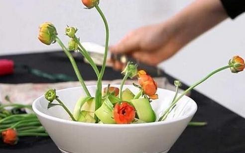 顺次把花毛茛插入花架中