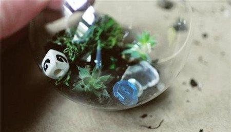多肉植物玻璃球盆景制作 多肉植物玻璃球盆景制作