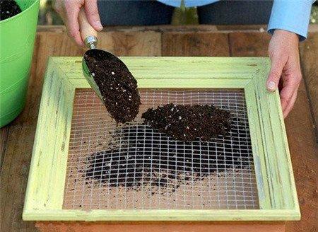 多肉植物墙的制作 多肉植物墙的制作