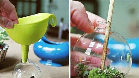 多肉植物玻璃球盆景制作 多肉植物玻璃球盆景制作