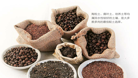 排水性较好的土壤