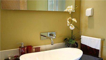 卫生间适宜布置什么绿色植物 卫生间适宜布置什么绿色植物