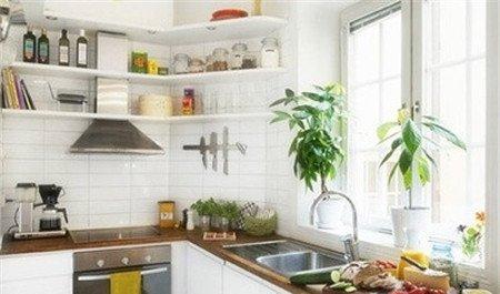 厨房适宜布置什么绿色植物 厨房适宜布置什么绿色植物