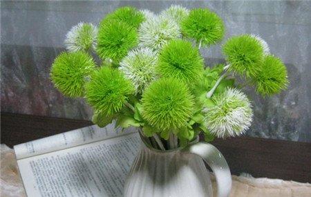 书房适宜布置什么绿色植物 书房适宜布置什么绿色植物