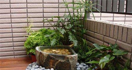 怎么合理配置绿色植物