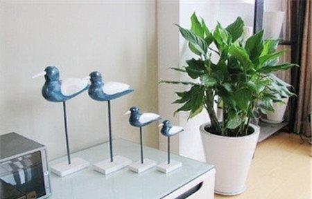 怎么放置绿色植物得当