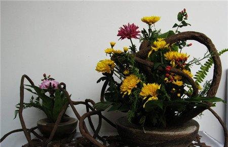 菊花插花欣赏图片 菊花插花欣赏图片