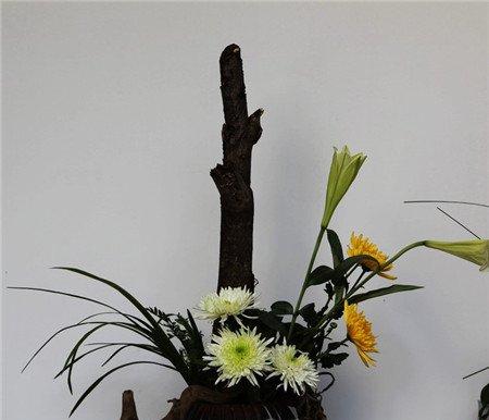美丽的菊花插花欣赏 美丽的菊花插花欣赏