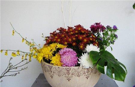 菊花插花美图 菊花插花美图