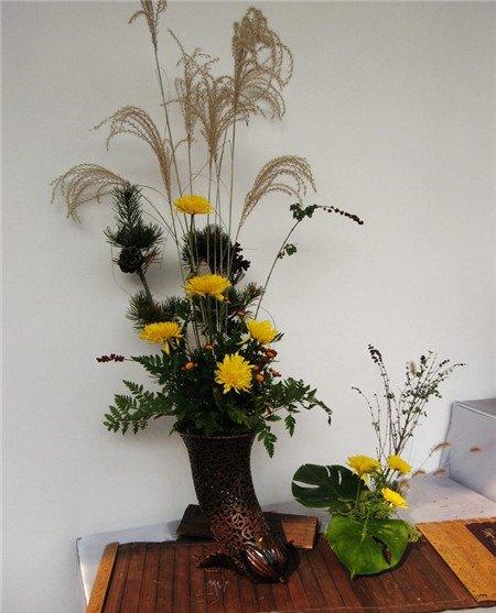 菊花插 花欣赏 菊花插 花欣赏