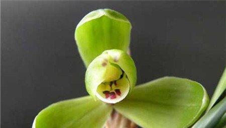 集圆