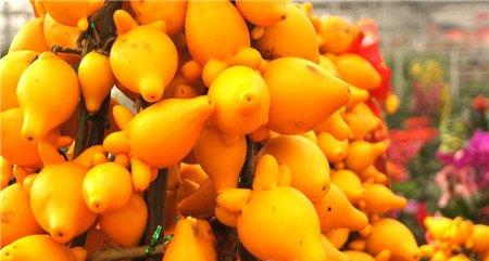 黄金果的养殖方法 黄金果的养殖方法