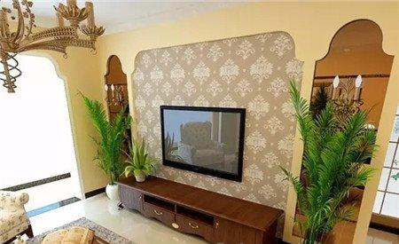 电视机旁边养花