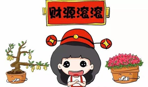 10种红火的观果植物，让你财源滚滚好运来