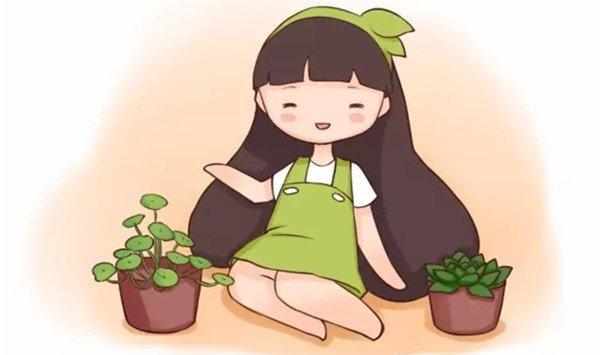 怎么折腾都不会死的花，你不来一盆