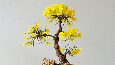 及时栽植