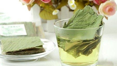 荷叶茶的图片