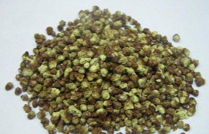 绿梅花的药用价值 绿梅花的药用价值