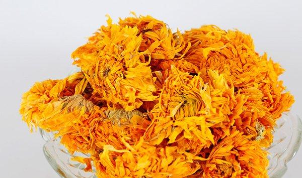 金盏菊简介及图片 金盏菊的功效与作用和养殖方法