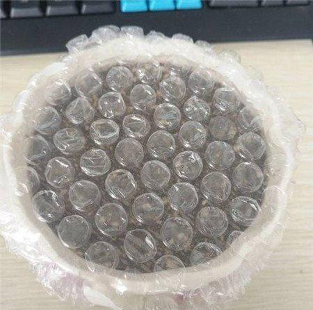 种子均匀的撒到土壤 种子均匀的撒到土壤