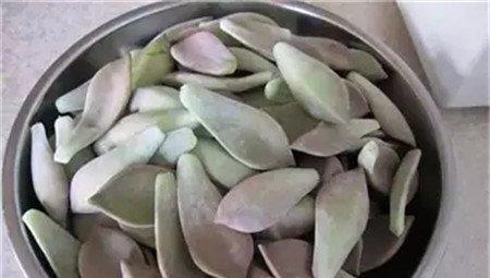胧月 胧月
