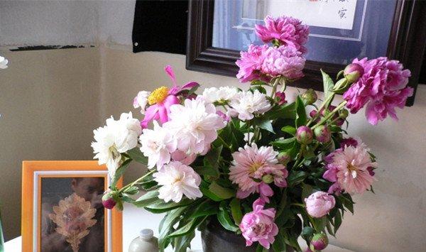 芍药插花特点