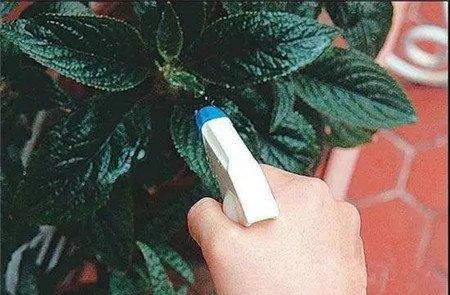 第七步