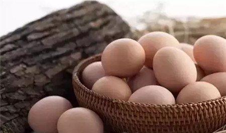 初产蛋：珍贵不等于更营养