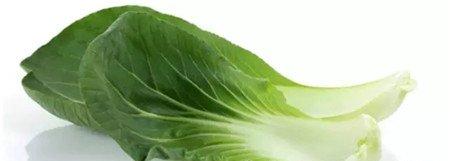 缺乏锻炼多吃“绿” 缺乏锻炼多吃“绿”