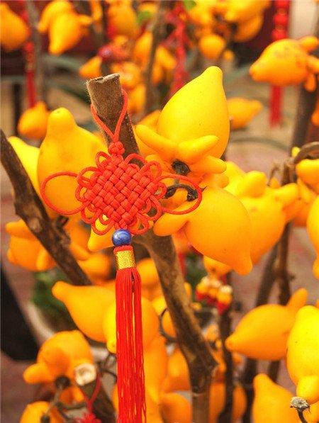 黄金果的观赏作用 黄金果的观赏作用