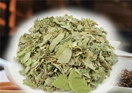 马蹄金