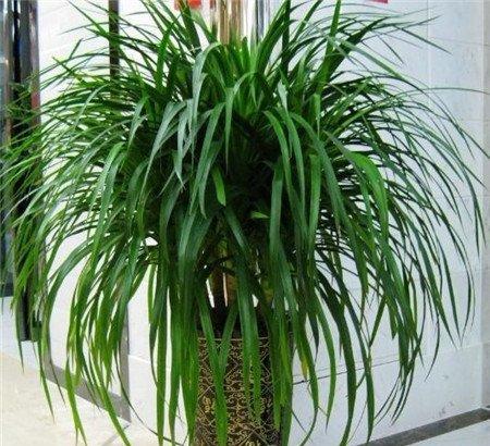 调节作用 调节作用