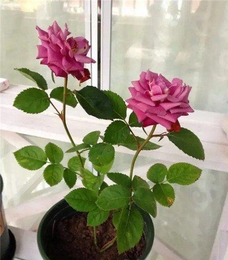 其他注意事项