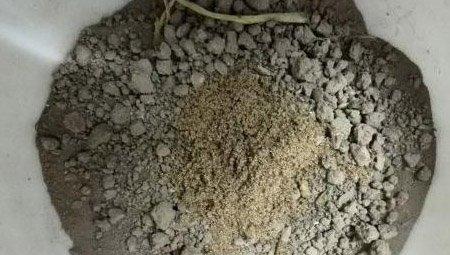 移植吊兰步骤5 移植吊兰步骤5