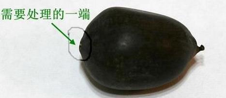 碗莲种子外观 碗莲种子外观