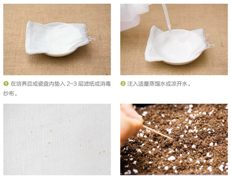 播种方法 播种方法