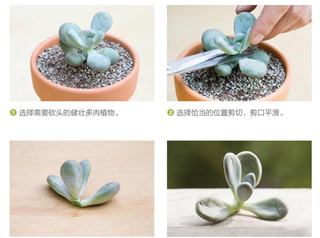 砍头方法 砍头方法