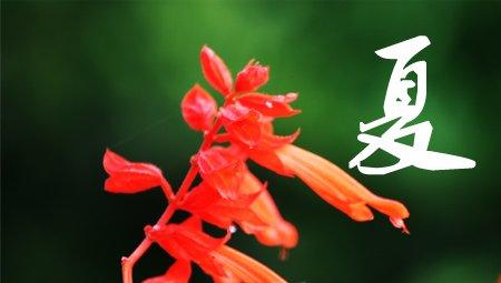 夏季 夏季