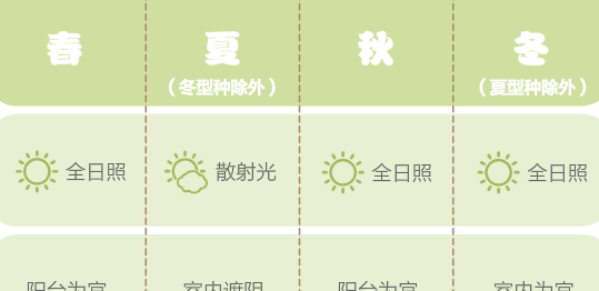 多肉植物施肥表