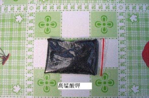 富贵竹修剪工具高锰酸钾