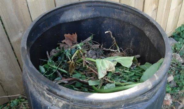 教你在家制作简单的氮、磷、钾花肥