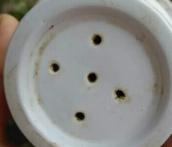 打洞