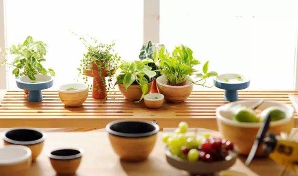 养花的9大误区，不要再“摧残”你家的植物了！