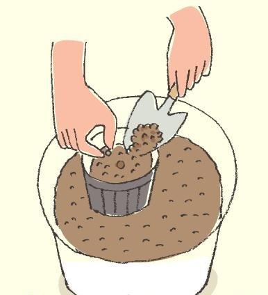 将土放入