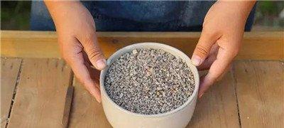 黄金万年草组盆方法：装土